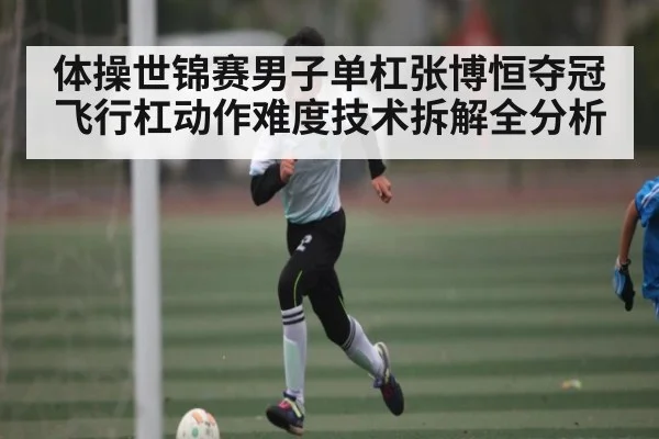 体操世锦赛男子单杠张博恒夺冠 飞行杠动作难度技术拆解全分析