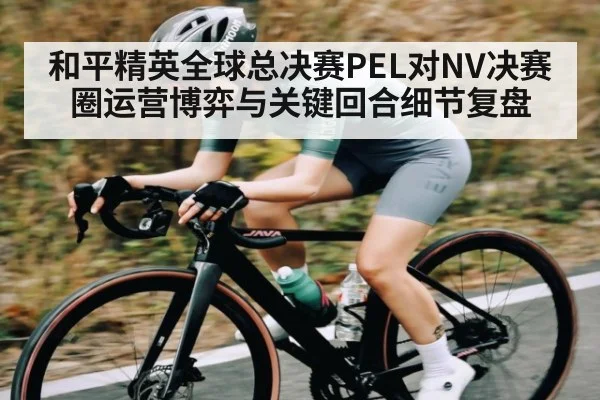 和平精英全球总决赛PEL对NV决赛圈运营博弈与关键回合细节复盘
